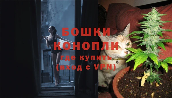 прущая мука Новодвинск