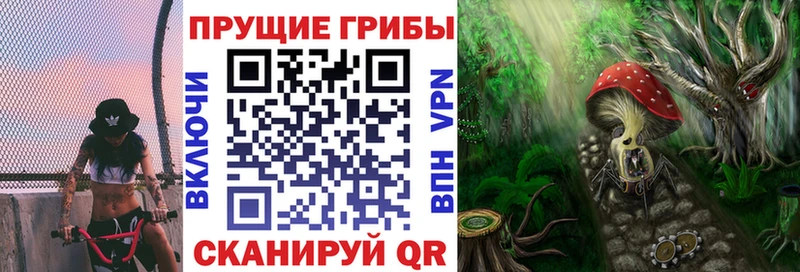 Псилоцибиновые грибы Psilocybine cubensis  что такое   Михайлов 